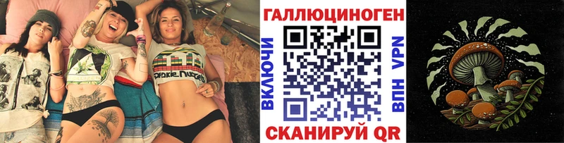 Галлюциногенные грибы Psilocybe  Курск 